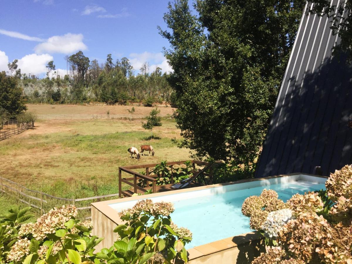 Vale Da Silva Villas - Quinta Albergaria-a-Velha Bagian luar foto