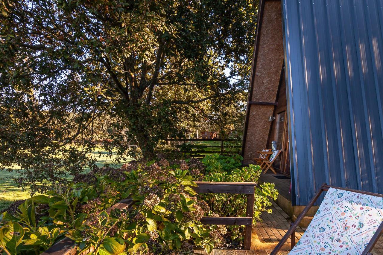 Vale Da Silva Villas - Quinta Albergaria-a-Velha Bagian luar foto